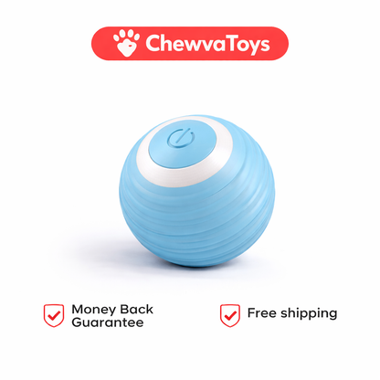 Chewva Toys™ Bounce Buddy