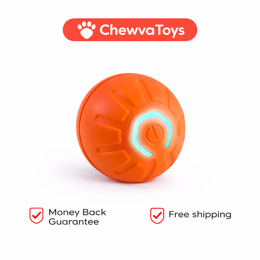 Chewva Toys™ Bounce Buddy