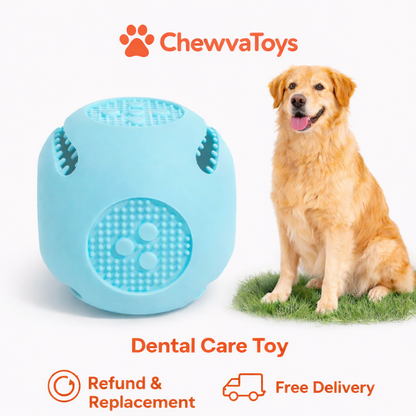 Chewva Toys™ Dental Care Toy