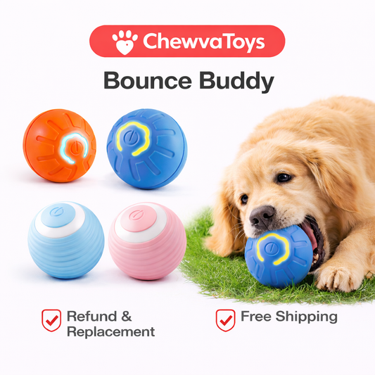 Chewva Toys™ Bounce Buddy