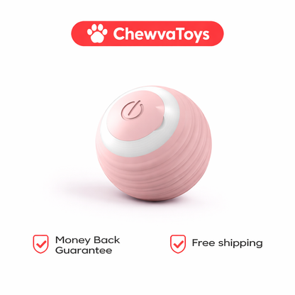 Chewva Toys™ Bounce Buddy