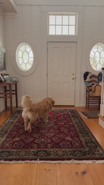 Chewva Toys™ Bounce Buddy