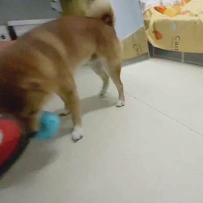 Chewva Toys™ Dental Care Toy