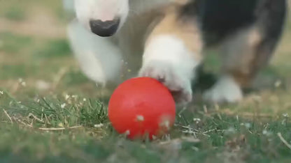 Chewva Toys™ Bounce Buddy